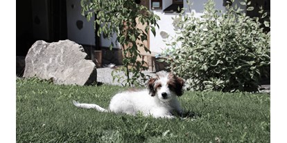 Golfurlaub - Fahrradverleih - Oberösterreich - INNs HOLZ hundefreundliches Chaletdorf Urlaub mit Hund im Sommer - INNs HOLZ Chaletdorf