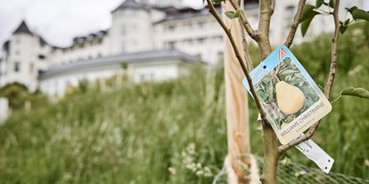 Golfurlaub - Hunde am Golfplatz erlaubt - Tauplitz - Imlauer Hotel Schloss Pichlarn