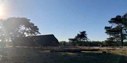 Golfurlaub - Deutschland - Landschaft um das Hotel Heidegrund entlang der Thülsfelder Talsperre - Hotel Heidegrund