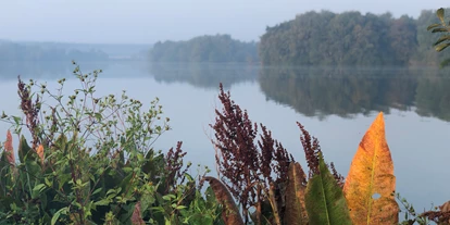 Golfurlaub - Deutschland - Landschaft um das Hotel Heidegrund entlang der Thülsfelder Talsperre - Hotel Heidegrund